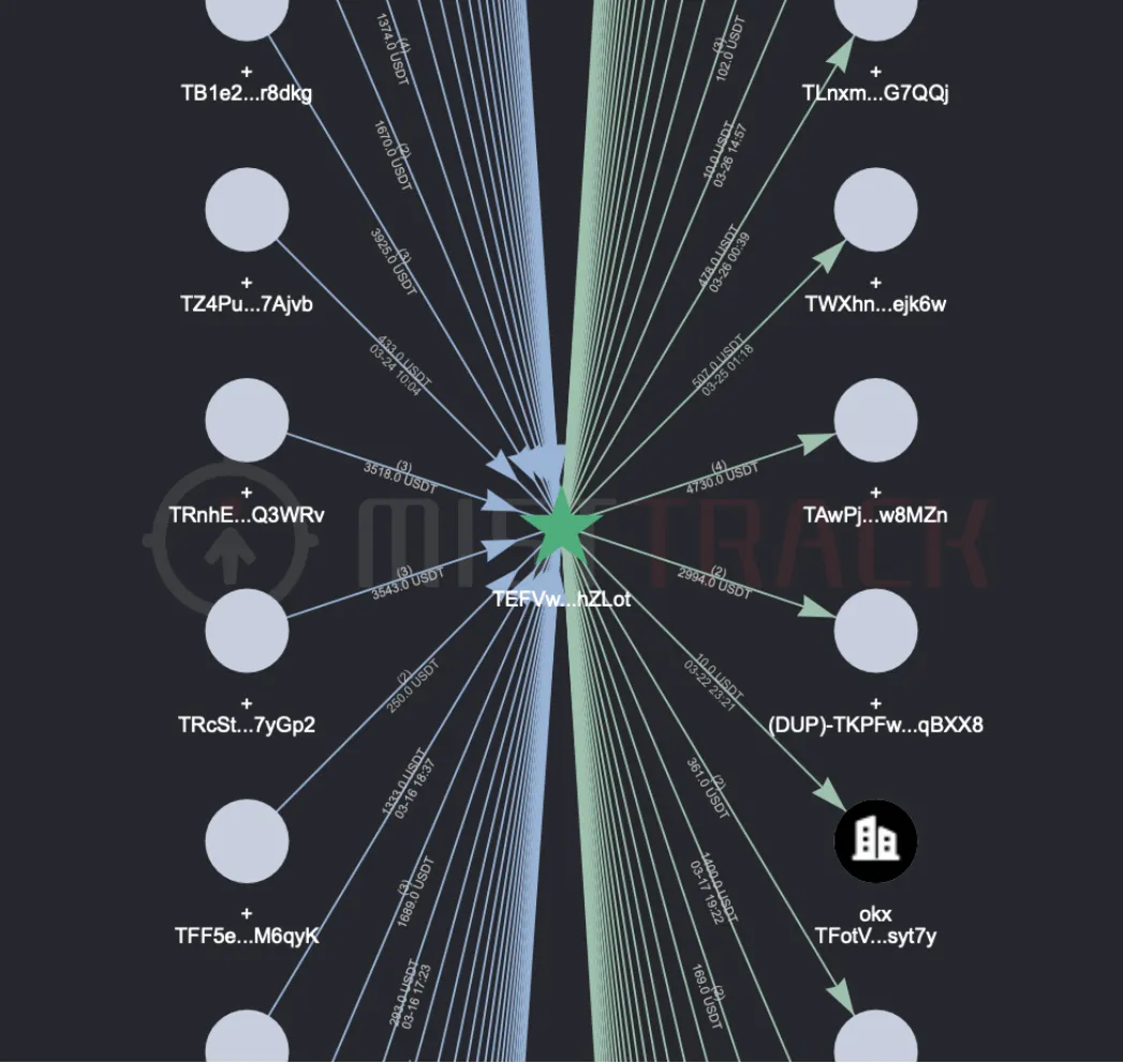 波场链是什么？TRX 与 USDT 有何关系？