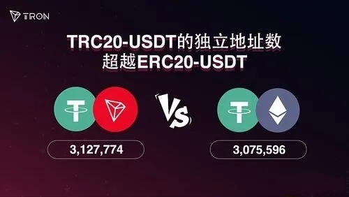 USDT 钱包排行榜 50：哪些钱包最受欢迎？