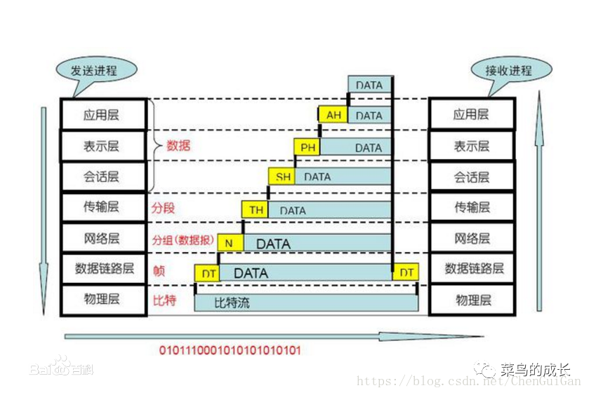 深入了解ISO：国际标准化组织及其七层协议与功能解析
